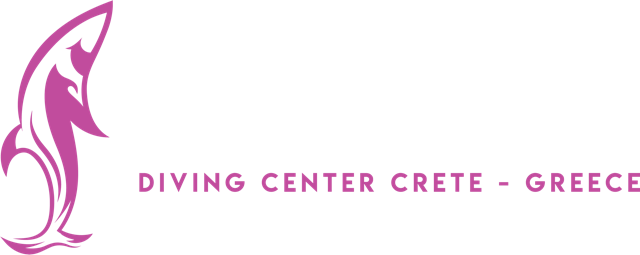 Logo Staywet